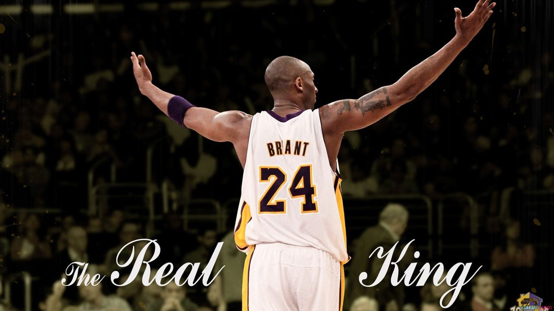 拉沃尔杯的独特魅力，为何德约科维奇带队轻取蒙特卡洛大师赛的胜利更显珍贵？